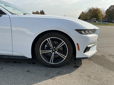 Used 2024 FORD MUSTANG Cars Michigan US | Miedema Asset Management Group #1579884