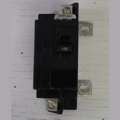 Square D 2 Pole 100 Amp Panel Main Breaker