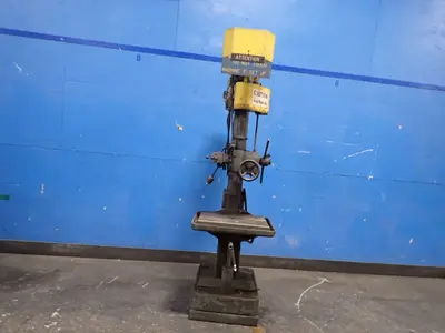 USED BUFFALO 22
