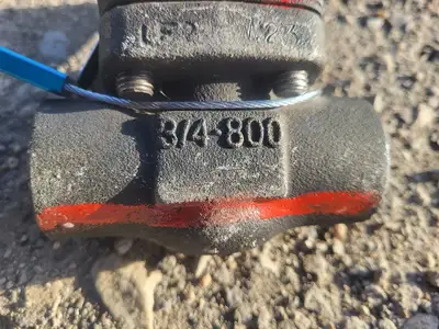 3/4" Class 800 Check Valve API 602