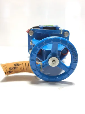 RF Valve BE2-M150-553X Pinch Valve