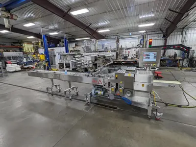 USED 2011 DELTA SYSTEMS & AUTOMATION INC HAWK