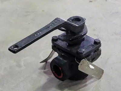 Size 1", Rating 300, Globe Valve PL-1596