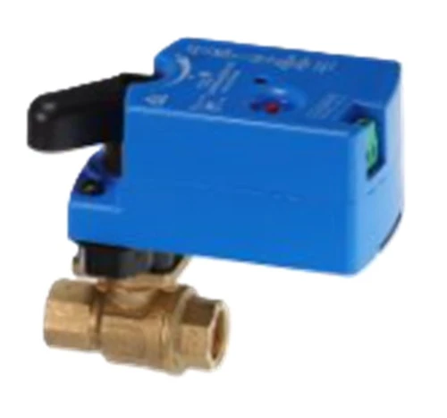 Johnson Controls VG1241AE+9T4GGA Valve With Actuator [New]