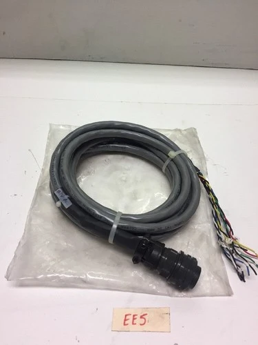 NEW Carol C6053A