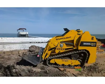 Used BAUMALIGHT _UNKNOWN_ Compact Track Loaders Iowa US | Keast Enterprises #1360114