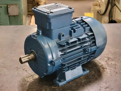 Used 2022 WEG TE01A0X0T0000300438 Motors (misc) British Columbia CA | Lenmark #246663