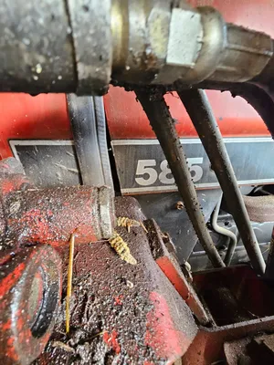 1988 Case International 585 tractor with loader | Iron Listing (44)