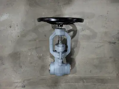 2" Class 900 Globe Valve B16.34