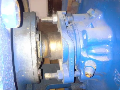 USED Goulds 3175