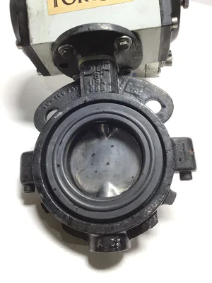 Sure Torque NVS4114-0009F -ST-DA/ST-SR Pneumatic Actuator Butterfly Valve