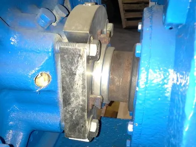 USED Goulds 3175