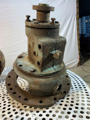 Goulds 13" DI 53788 Housing