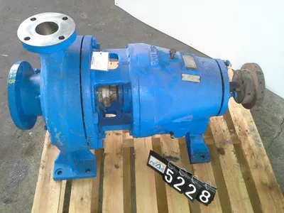 USED Goulds 3175