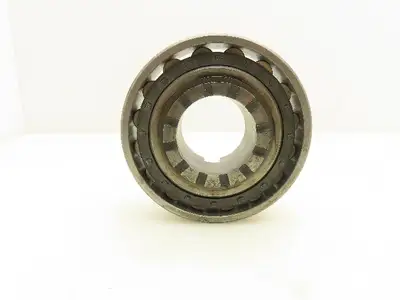 ZWZ N213 Roller Bearing 49mm Bore 120mm OD