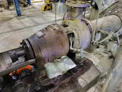 USED GOULDS 3175S