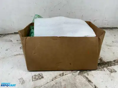 Box of Native and Wildlife Figurines and Decorations
