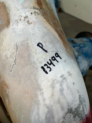 USED Goulds 3175