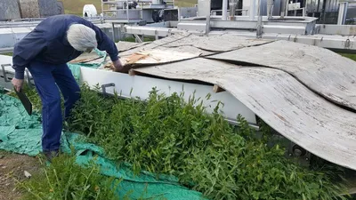 2008 GEM 15 TPH Plant - Food | Perry Equipment (33)