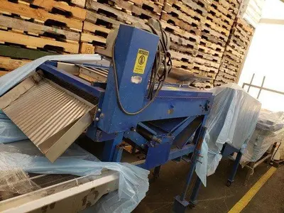 Berry Grading Sorter