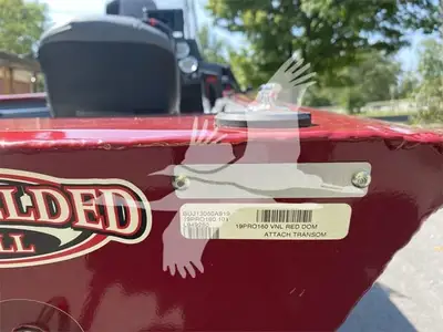 USED 2019 TRACKER PRO 160