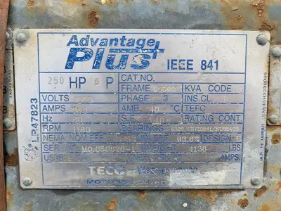 250 hp, 4000 volts, 1180 rpm, 5009C Electric Motor