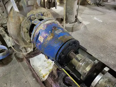 Used GOULDS 3175M Pumps British Columbia CA | Lenmark #279614