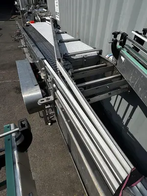 Alliance Infeed/ Dump conveyor