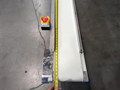 16.5' Flat Belt Conveyor