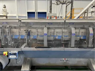 USED 2016 EFFYTEC PACKAGING GP402  ||  HFFS