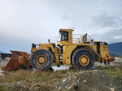 Used 2004 CATERPILLAR 990 Skid Steer Loaders British Columbia CA | Lenmark #277799