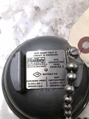 Bailey Ex-Proof 669635A3 RTD Connecting Head