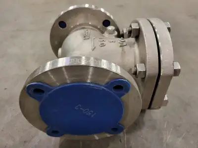 3", Class 150, Check Valve, B16.34