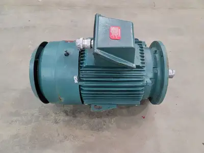 50 hp, 460 volts, 3560 rpm, 386LP Electric Motor