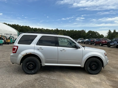 Used 2012 FORD ESCAPE SUVs Michigan US | Miedema Asset Management Group #1423562