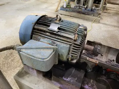 USED GOULDS 3175S