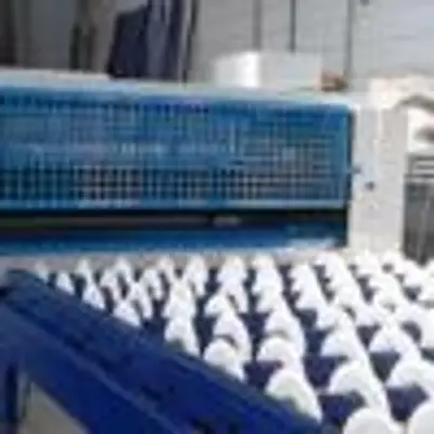 New | in-Stock _UNKNOWN_ _UNKNOWN_ Hot Press Ontario CA | Moon Machinery #1763978