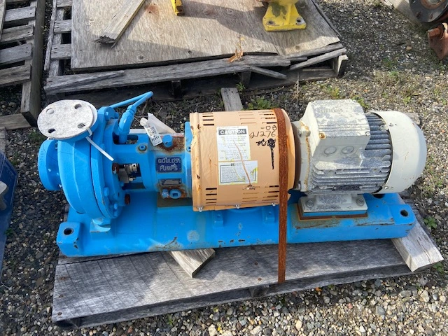USED GOULDS 3196