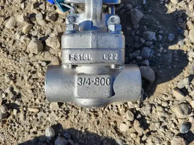 3/4" Class 800 Gate Valve API 602