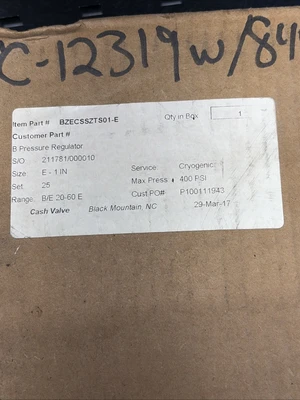 NEW CASH Valve BZECSSZTS01-E