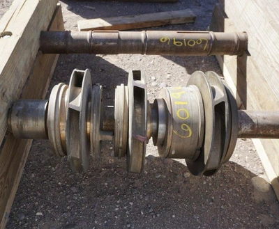 NEW SULZER BINGHAM 6X8X11A MSD