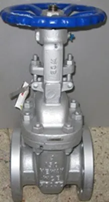 QTY. 1. NEWAY 4" 150 FLANGED RAISED FACE WCB GATE ...