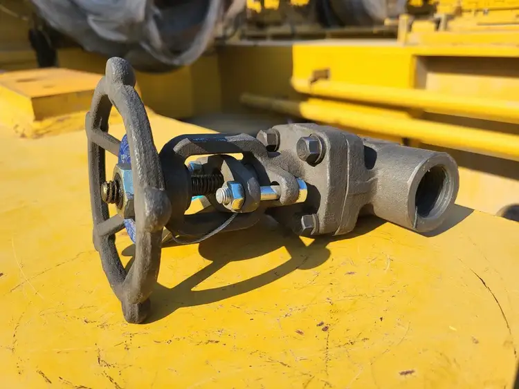 Used 2016 DSI VALVES API 602 Valves/Fittings British Columbia CA | Lenmark #256805