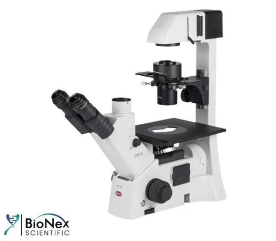 Used MOTIC AE31E Microscopes New Jersey US | Bionex Scientific LLC #799872