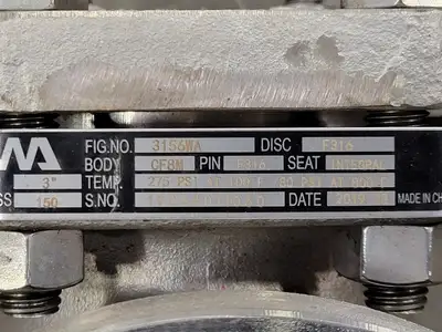 3", Class 150, Check Valve, B16.34