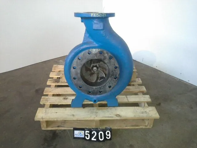 USED Goulds 3196 XLT
