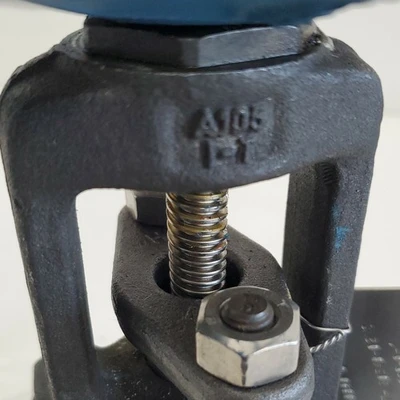 NEW Velan W07-2054B-02MS