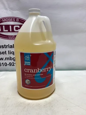 Santec Cranberry Ice Scented Hand Sanitizer -NIB