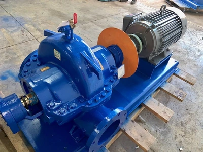 USED Goulds 100