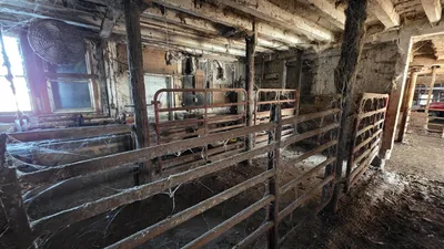 VARIETY GATES gates | Iron Listing (22)